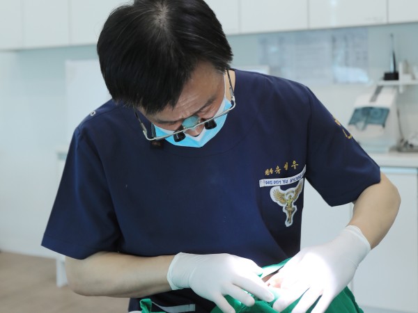 정확한 진단과 섬세한 손길, 썸네일