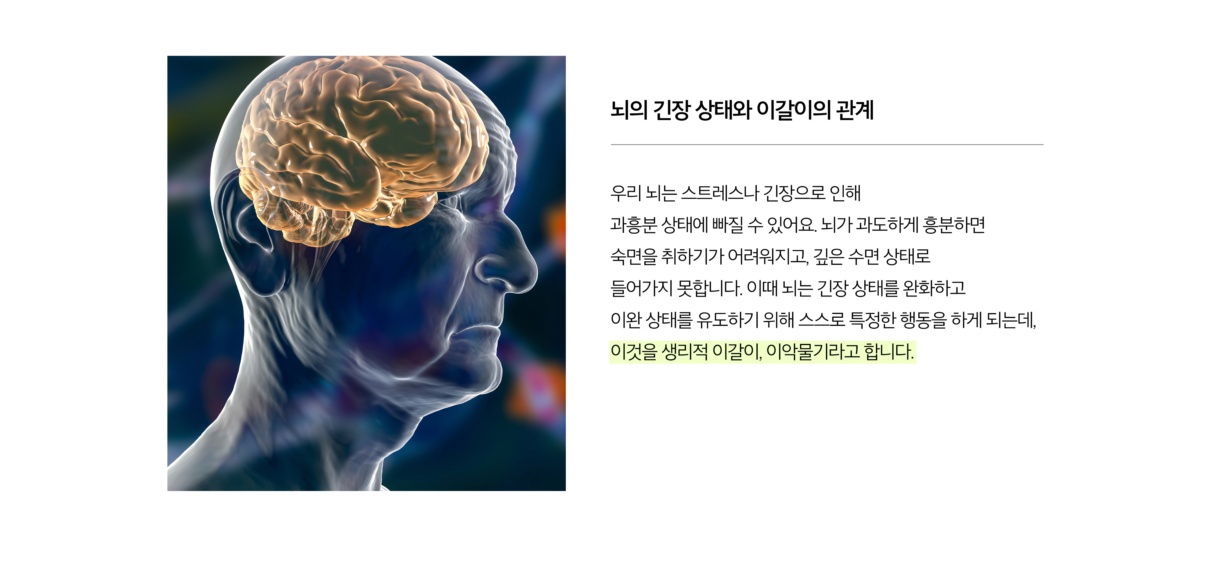 뇌의 긴장 상태와 이갈이의 관계