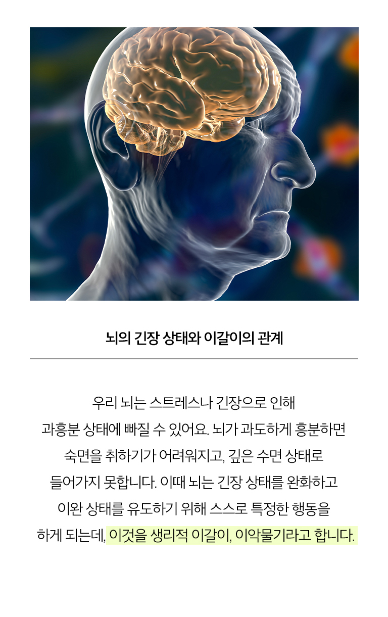 뇌의 긴장 상태와 이갈이의 관계 (모바일)